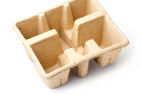 Molded Pulp Tray 3